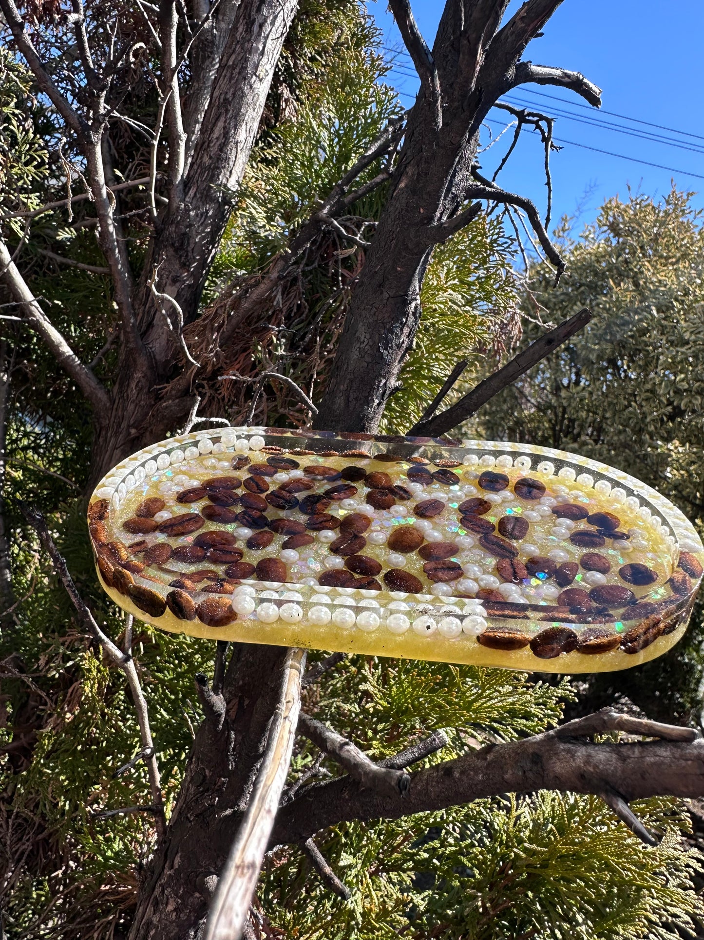 Resin Trinket Trays