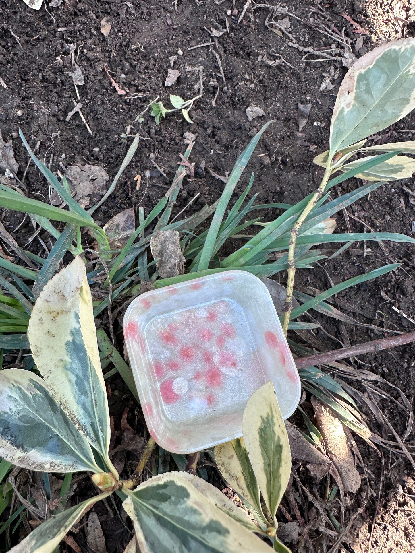 Resin Trinket Dishes