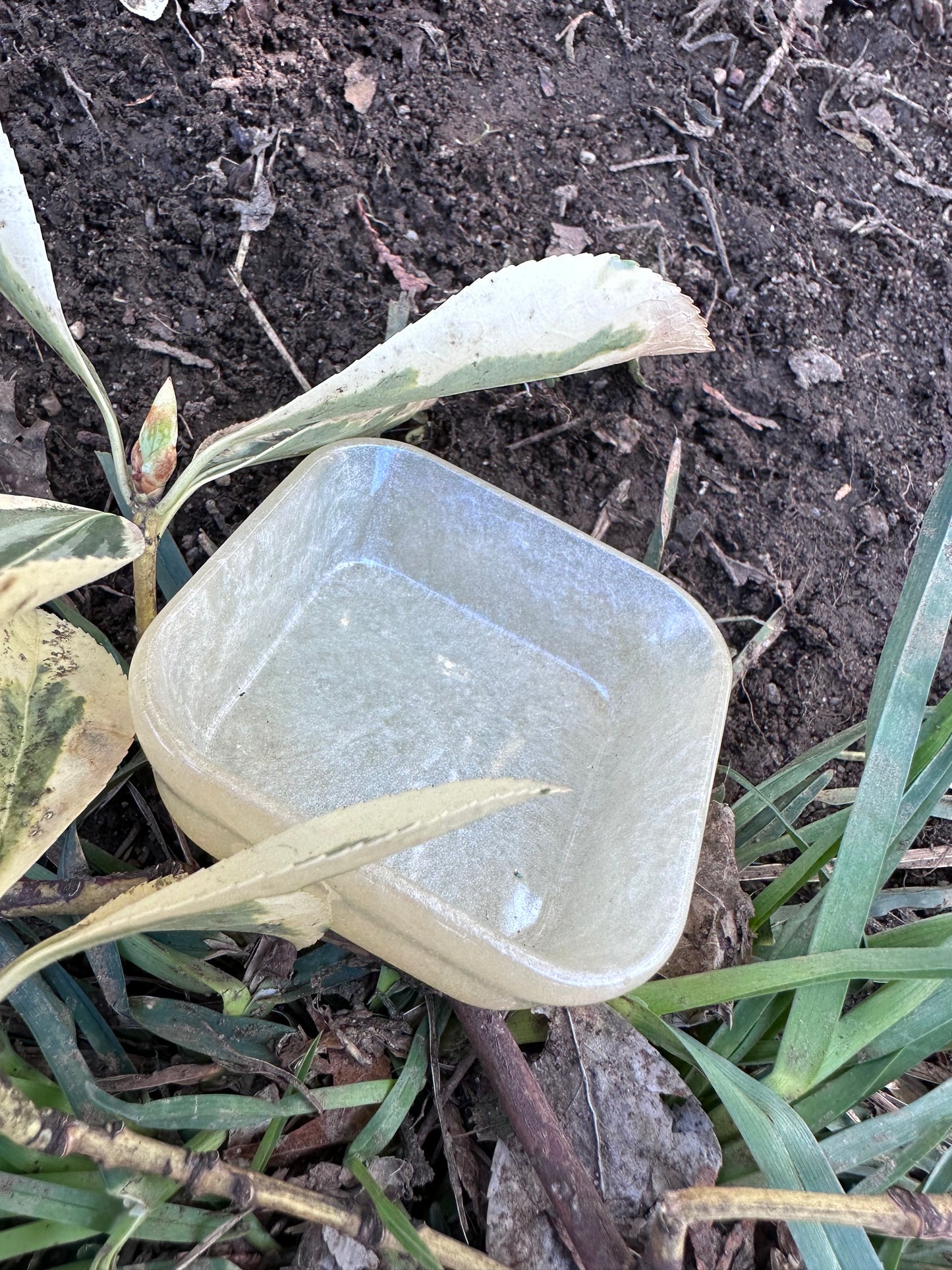 Resin Trinket Dishes